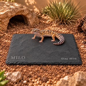 May include: A rectangular black slate tile with rough, uneven edges. The surface is engraved with the name MILO on the left and the text Stay Wild on the right. A yellow and black spotted leopard gecko is positioned on top of the slate tile.