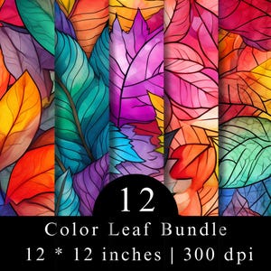Puede incluir: Un paquete gráfico digital que presenta 12 patrones de hojas de colores vibrantes con contornos negros marcados. El texto 12 Color Leaf Bundle 12 * 12 inches | 300 dpi aparece en blanco sobre un fondo negro en la parte inferior.