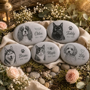 May include: Five oval gray memorial stones featuring engraved portraits of pets. Each stone displays a name and lifespan dates, including Chloe, Teddy, Bruno, Maple, and Lily. The designs incorporate symbols like hearts, wings, and paw prints.
