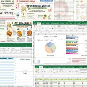 Op de afbeelding: Een digitale baby-led weaning tracker en maaltijdplanner bundel op een computerscherm. De collectie bevat kleurrijke informatieve gidsen, cirkeldiagrammen voor voedselcategorieën, spreadsheets voor groeivoortgang en dagelijkse voedingslogboeken voor baby's.