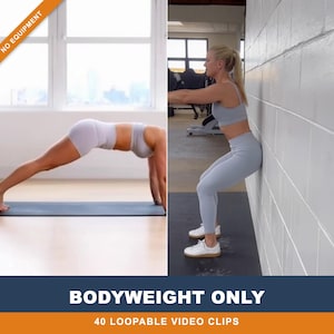 40 Bodyweight Only Exercises - Loopable Human Workout MP4 for Apps, Reels & Coaches