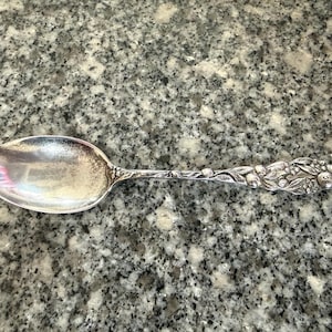 Fruit and Flowers pattern Spoon possibly sugar shell, probably sterling