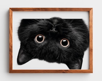 Fluffy Black Cat Peeking Down, Amber Eyes Minimalist Printable Wall Art (Digital Download) 120