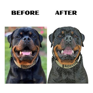 Może przedstawiać: Por&oacute;wnanie obok siebie przedstawiające zdjęcie psa rasy Rottweiler po lewej stronie z napisem BEFORE oraz wyhaftowany portret tego samego psa po prawej stronie z napisem AFTER. Pies ma na sobie beżową obrożę z czarnym napisem ROSCOE.
