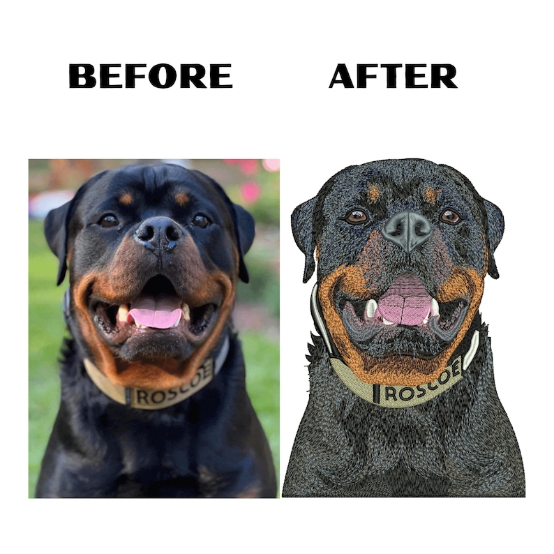 Może przedstawiać: Por&oacute;wnanie obok siebie przedstawiające zdjęcie psa rasy Rottweiler po lewej stronie z napisem BEFORE oraz wyhaftowany portret tego samego psa po prawej stronie z napisem AFTER. Pies ma na sobie beżową obrożę z czarnym napisem ROSCOE.