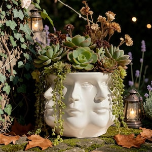 Op de afbeelding: Een witte keramische plantenbak in de vorm van een menselijk hoofd met meerdere gezichten in de buitenkant gevormd. De bak is gevuld met diverse groene vetplanten en gedroogde bruine bloemen, met hangende planten over de zijkanten.