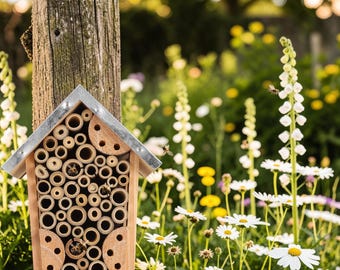 Wooden Bee Hotel for Garden - Hanging Insect Box for Mason Bees & Pollinators - Outdoor Wildlife Habitat - Eco Garden Gift