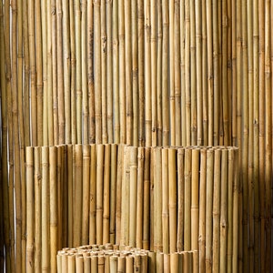 Bamboo Fence/Poles - Available in Several Sizes