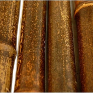 LARGE BLACK Bamboo Poles- BULK Price- Pack of 100 or Pack of 200