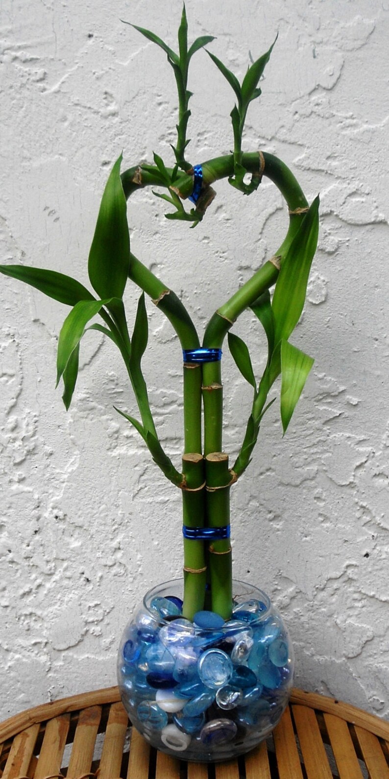 Lucky Bamboo Arrangement Heart 3 Stem Blue In Glass Vase Etsy