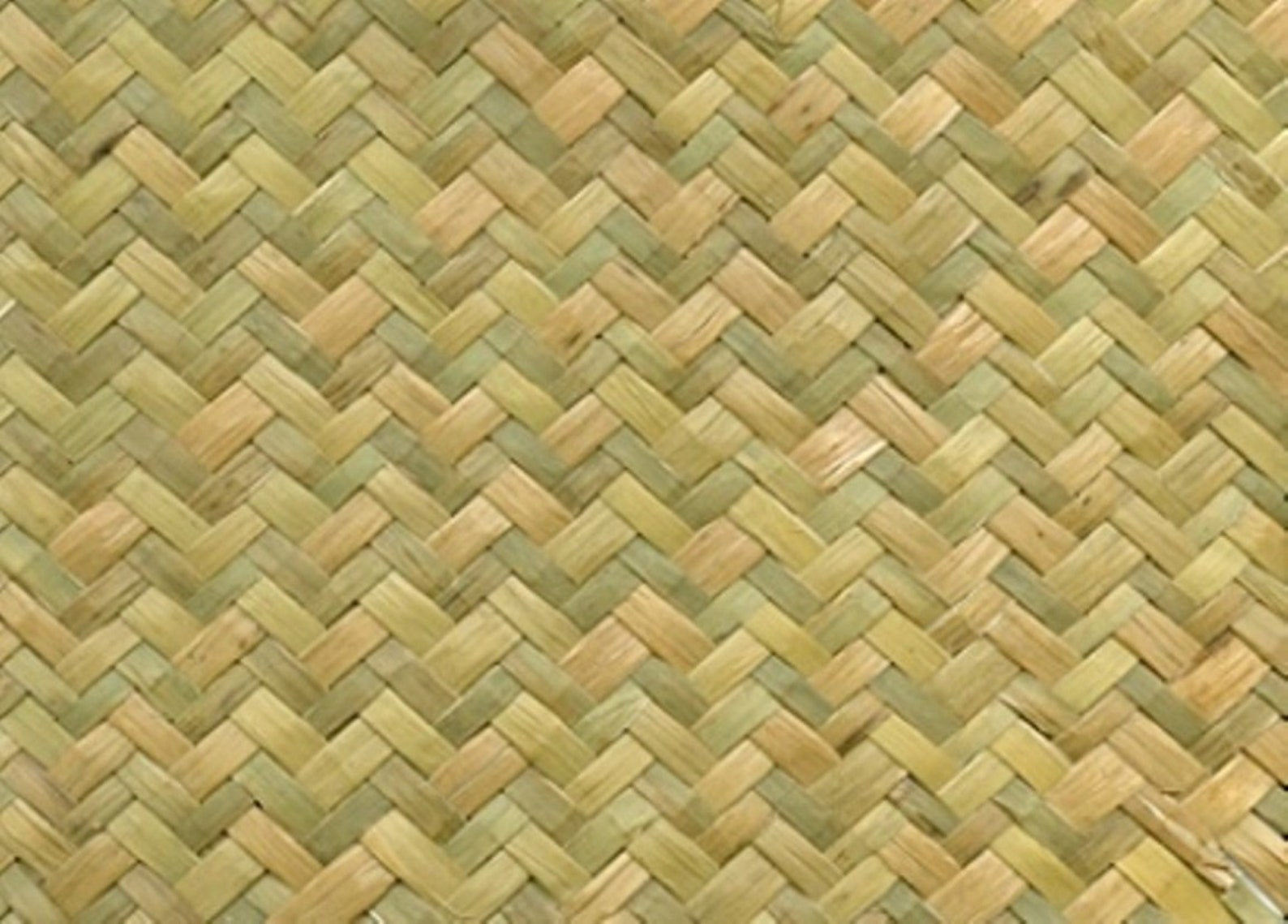 Green Herringbone Weave Seagrass Matting 4' X 8' Etsy