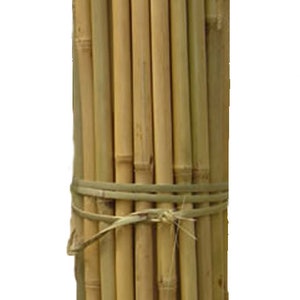 Bamboo Pole Large Bundles For Building - 1.5 to 2" Diameter x 6 Foot Tall- Natural Tonkin Bamboo