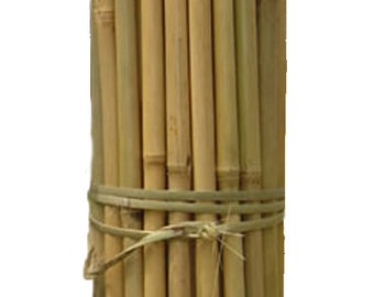 Bamboo Pole Large Bundles For Building - 1.75 to 2" Diameter x 6 Foot Tall- Natural Tonkin Bamboo