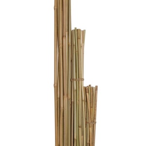 Natural Bamboo Poles/Stakes-3' 4' and 6' Tall- Sold in Sets of 12