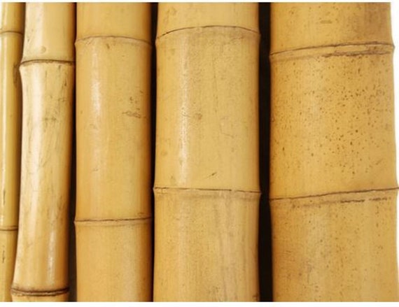 Artificial Bamboo Poles, Synthetic Bamboo Sticks