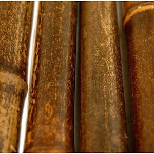 LARGE BLACK Bamboo Poles 2.5 inch to 2.75 inch Diameter x 4&#39; Tall Pack of of 12 or Pack of 24