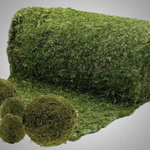 Natural Moss Sheets-18" Wide choice of 4 foot or 25 foot long