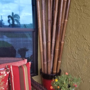 BLACK Bamboo Poles- 6&#39; Tall x 2.25 to 2.75&quot; LARGE Diameter- Set of 4