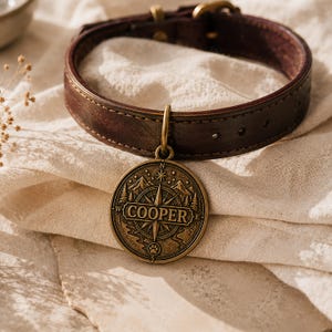 May include: A dark brown leather collar featuring a round brass tag. The tag displays a compass design with mountains, trees, and a paw print, with the name COOPER engraved in the center. The collar includes a brass buckle and adjustment holes.