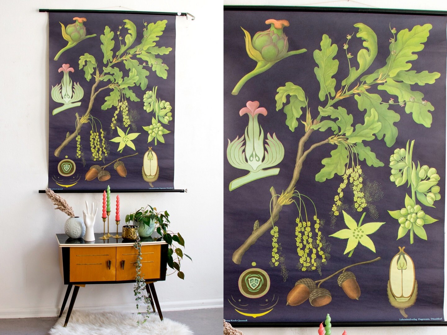 Poster Scolaire Stieleiche Jeune Cuisinier Quentell Von Hagemann