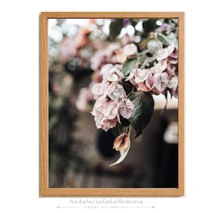 Bougainvillea Close-up Print | Botanical Andalusian Wall Art | Spain Printable Floral Decor