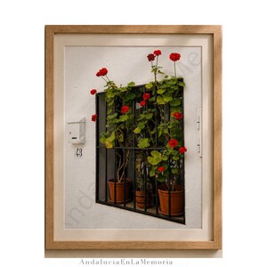 Puede incluir: Una lámina de arte enmarcada que muestra una pared de estuco blanco con una reja de ventana de metal negro. Tres macetas de terracota con plantas de geranio verdes y flores rojas brillantes se sitúan tras los barrotes. Un buzón blanco con el número 43 es visible.