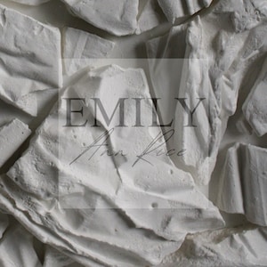 May include: A collection of jagged, white, matte-textured clay shards arranged in a dense, overlapping pattern. The surface features irregular ridges and crevices. Centered over the fragments is the text EMILY Ann Rice in a dark gray font.