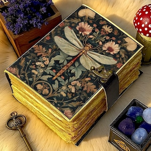 May include: A rectangular journal with a dark cover featuring a dragonfly and floral pattern, secured by a metal latch. The pages have gold-toned edges, and the book is accompanied by a metal key and a small box containing colourful stones.