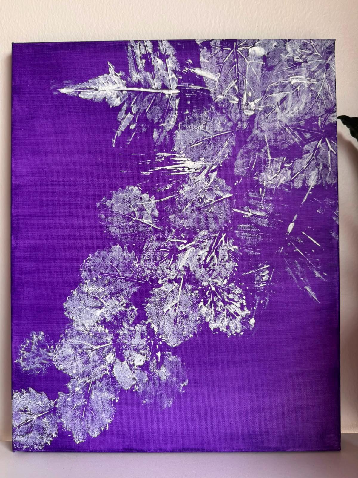 Lavender Echoes