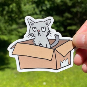 Grumpy, cartoony grey cat sitting in a plain empty cardboard box. Matte vinyl sticker behind held by the artist outside for the photo.