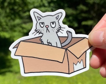Cat in Box Vinyl Sticker: Grumpy Grey Kitten, Hand-Drawn Design, Dishwasher Safe, Weatherproof, and Waterproof