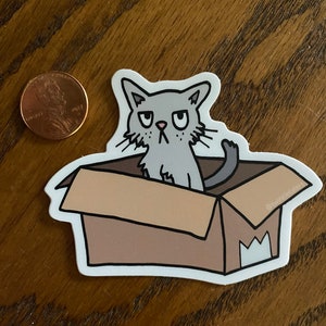 K&ouml;nnte beinhalten: Eine graue Katze mit einem m&uuml;rrischen Gesichtsausdruck sitzt in einem braunen Karton. Die Katze schaut nach links im Bild. Der Karton hat ein wei&szlig;es "M" an der Seite und den Text "@twinklecats" unten rechts.