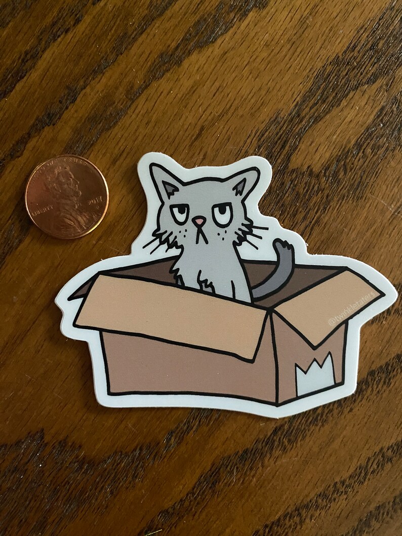 K&ouml;nnte beinhalten: Eine graue Katze mit einem m&uuml;rrischen Gesichtsausdruck sitzt in einem braunen Karton. Die Katze schaut nach links im Bild. Der Karton hat ein wei&szlig;es "M" an der Seite und den Text "@twinklecats" unten rechts.