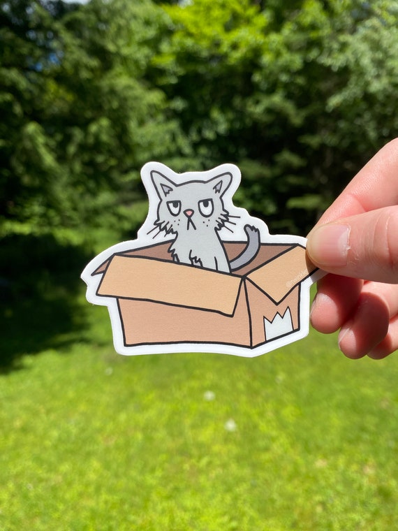 Cat in Box Vinyl Sticker: Grumpy Grey Kitten, Hand-Drawn Design, Dishwasher Safe, Weatherproof, and Waterproof