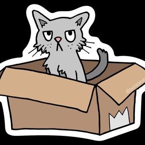 K&ouml;nnte beinhalten: Eine graue Katze mit gelangweiltem Gesichtsausdruck sitzt in einem braunen Karton. Der Schwanz der Katze ragt aus der Schachtel. Die Schachtel hat einen wei&szlig;en Aufkleber an der Seite mit dem Text "@twinkletaters".
