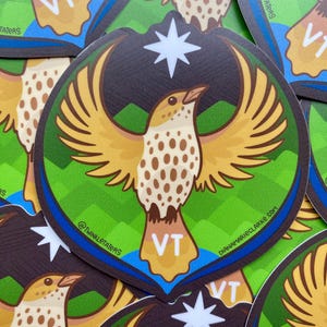 Puede incluir: Una pegatina redonda con un p&aacute;jaro estilizado con las alas extendidas. El p&aacute;jaro es principalmente amarillo y marr&oacute;n, con una estrella blanca encima. El fondo incluye elementos verdes y azules, y las letras "VT" son visibles. La pegatina tiene el texto "@TWINKLETATERS" y "DIANAMARIECLARKE.COM".