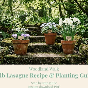 May include: Three terracotta pots containing blooming flowers, including white snowdrops, purple crocuses, blue anemones, and white narcissus, each with a small wooden plant label. The text reads: Woodland Walk Bulb Lasagne Recipe & Planting Guide.