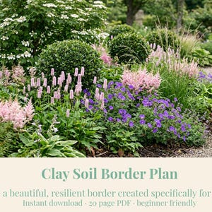 May include: A garden border featuring pink astilbe, purple geraniums, and green shrubs. The text reads: Clay Soil Border Plan. Create a beautiful, resilient border created specifically for clay soil. Instant download · 20 page PDF · beginner friendly.