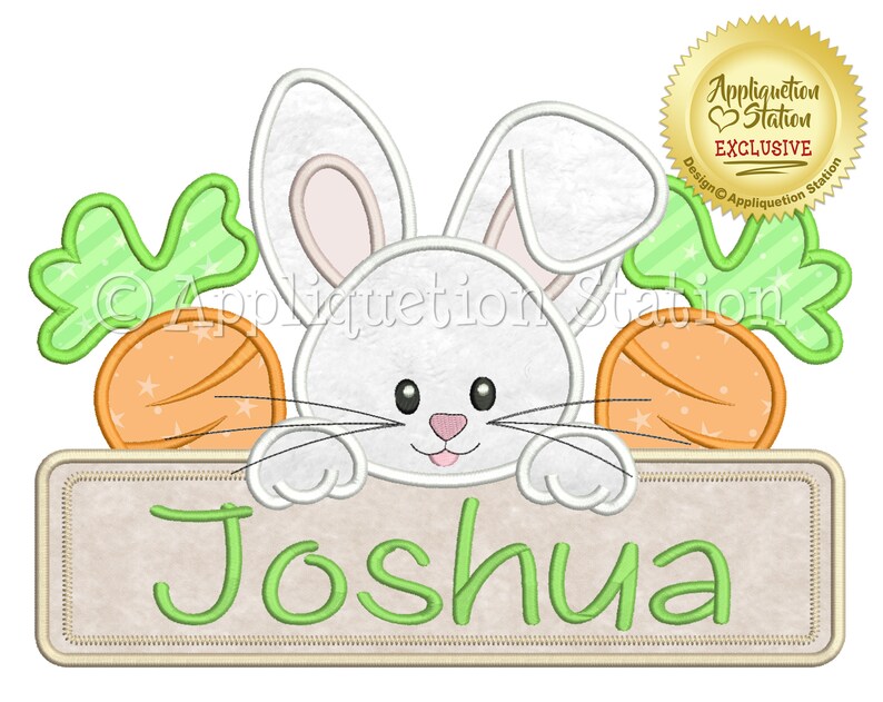 Bunny Name Plate Boy Applique Machine Embroidery Design Easter Etsy