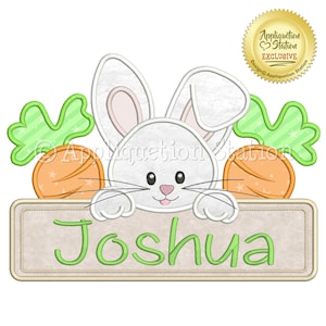 Easter Bunny Name Plate Boy Applique Machine Embroidery Design happy spring carrots sign INSTANT DOWNLOAD