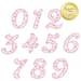 BX Script Numbers Set Applique Machine Embroidery Design Cursive 1 2 3 ...