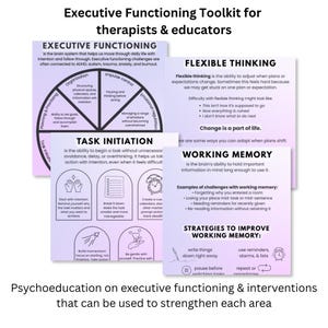 May include: An Executive Functioning Toolkit for therapists and educators featuring educational cards with purple gradient backgrounds. The cards contain text and diagrams explaining executive functioning, flexible thinking, task initiation, and working memory.