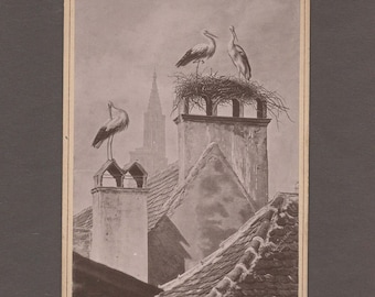 Engraved Cabinet Card of Storks Nesting on Chimneys ~ Strasbourg