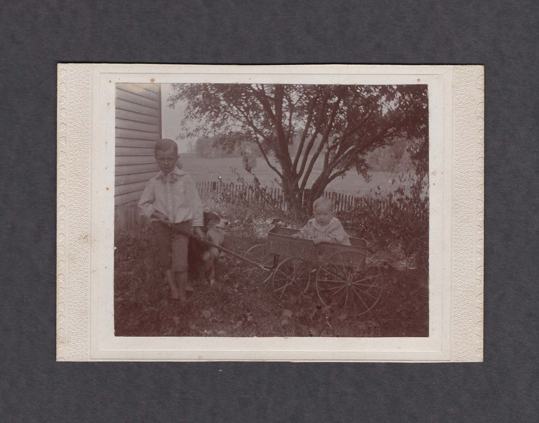 Mounted Image of a Little Boy Pulling His Sibling in a Wagon ~ Dog - Etsy