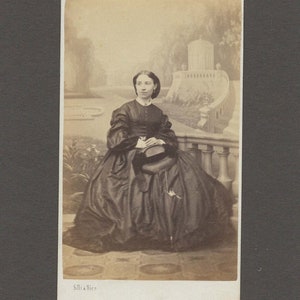 French CDV of a Beautifully Dressed Woman ~ Amazing Backdrop