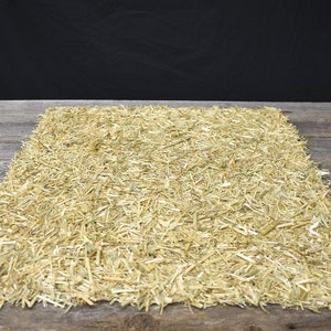 Nativity Scene Straw Mat, Nativity Stable, Barn, Creche Straw, Manger Straw, Nativity Display, Nativity Backdrop, Nativity Set Mat