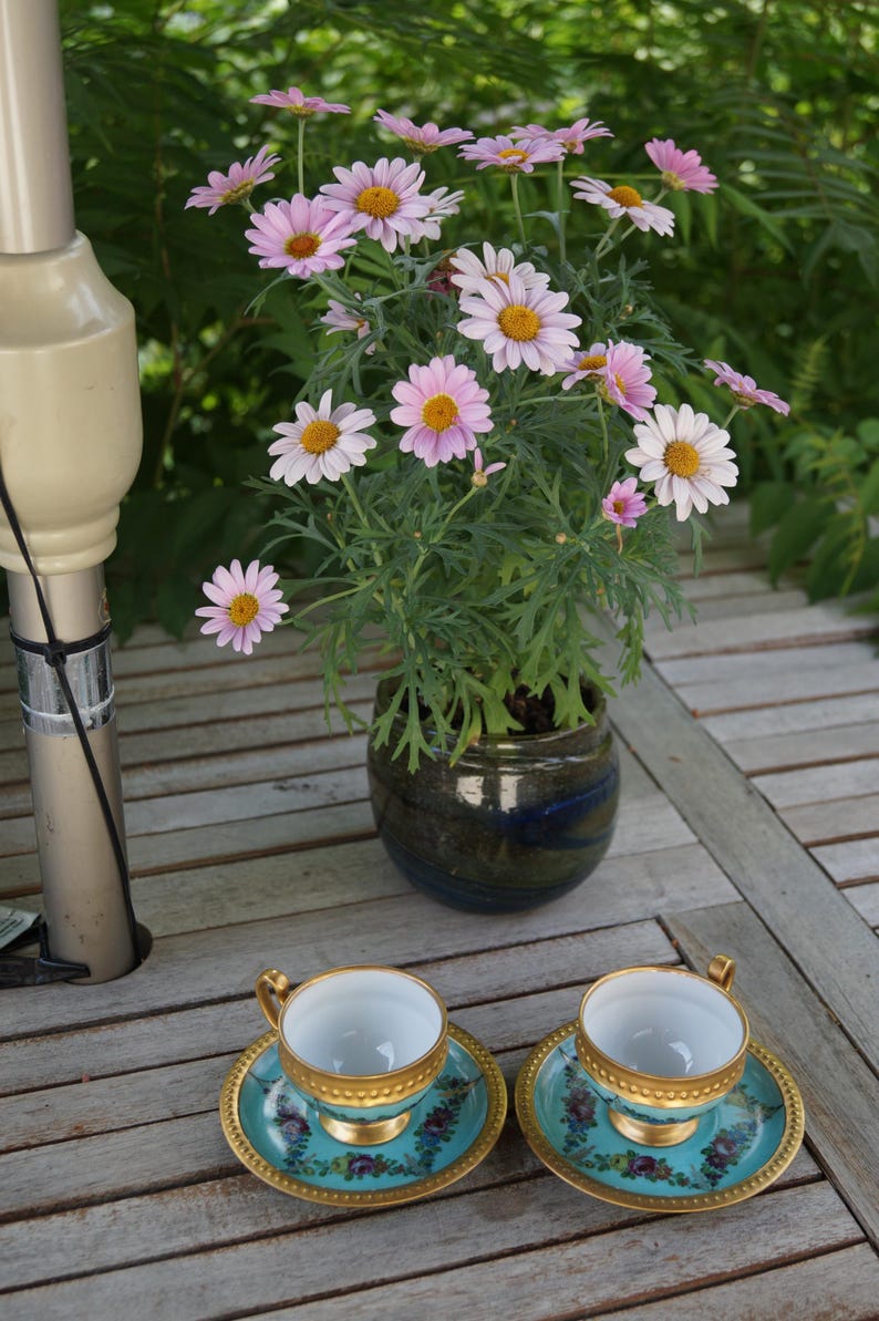 Może przedstawiać: Dwie turkusowe filiżanki do herbaty z porcelany ze złotymi obw&oacute;dkami i kwiatowymi wzorami na pasujących spodkach, ustawione przed ciemną ceramiczną doniczką z kwitnącą rośliną o licznych jasnor&oacute;żowych kwiatach z ż&oacute;łtymi środkami.