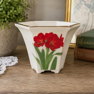 May include: A white hexagonal ceramic planter featuring a vibrant red amaryllis flower illustration with green stems and leaves on the front panel. The rim of the planter is finished with a thin, metallic gold trim, providing a clean edge.
