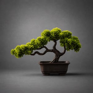 May include: A bonsai tree with vibrant green, needle-like foliage and a dark, textured, gnarled trunk. The tree is planted in a rectangular, dark brown ceramic pot with a smooth finish and small feet, set against a solid, neutral gray background.