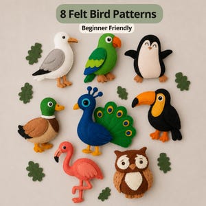 Peut inclure: Huit modèles d'oiseaux en feutrine incluant un goéland, un perroquet, un manchot, un canard colvert, un paon, un toucan, un flamant rose et un hibou. Le texte 8 Felt Bird Patterns et Beginner Friendly est visible. Des feuilles en feutrine parsèment.